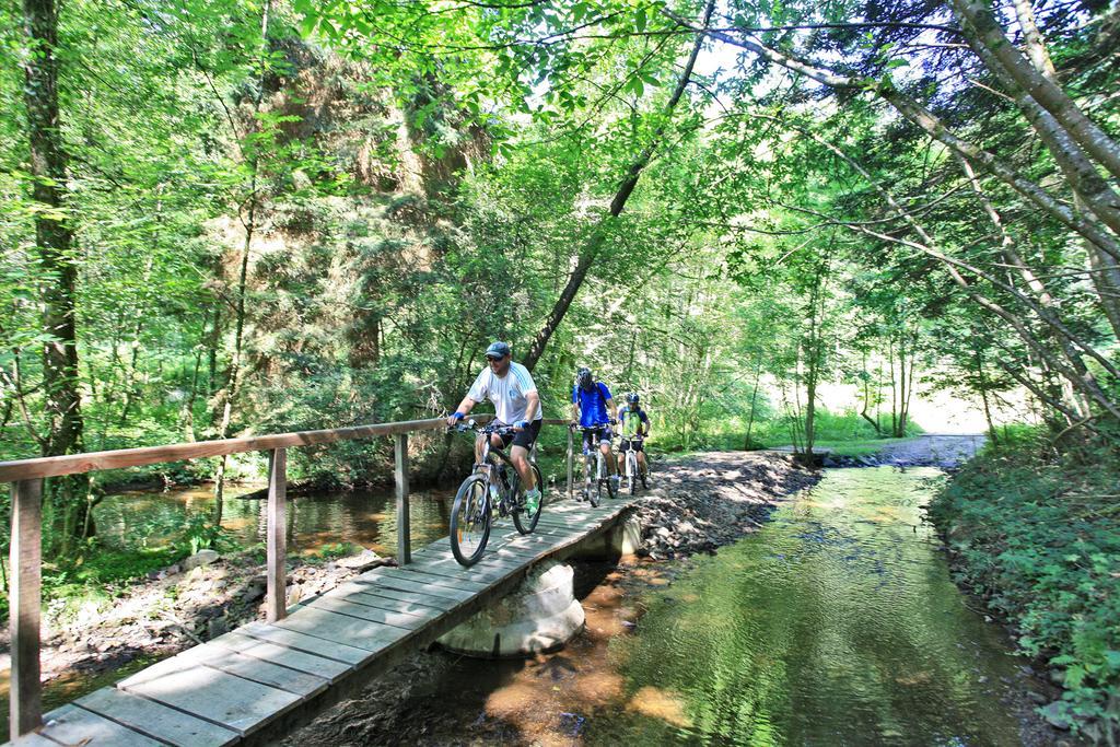 Hotellerie De Plein Air Camping Leychoisier Bonnac-la-Côte Dış mekan fotoğraf